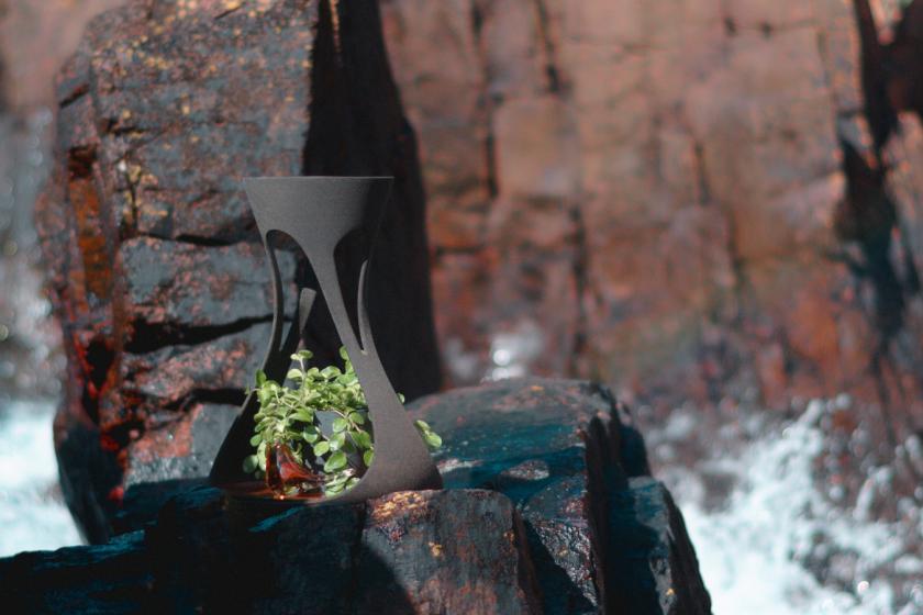 Arya (Sand version with a plant against rocks)